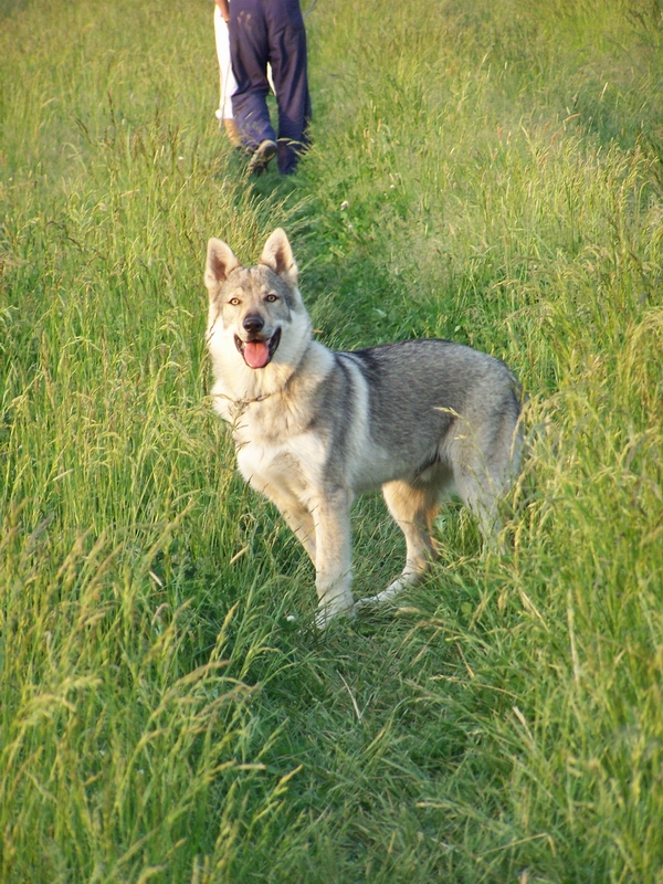 100_0786.JPG