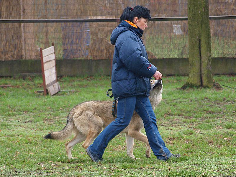 BH - Kewar - 3.4.2010 ham.jpg