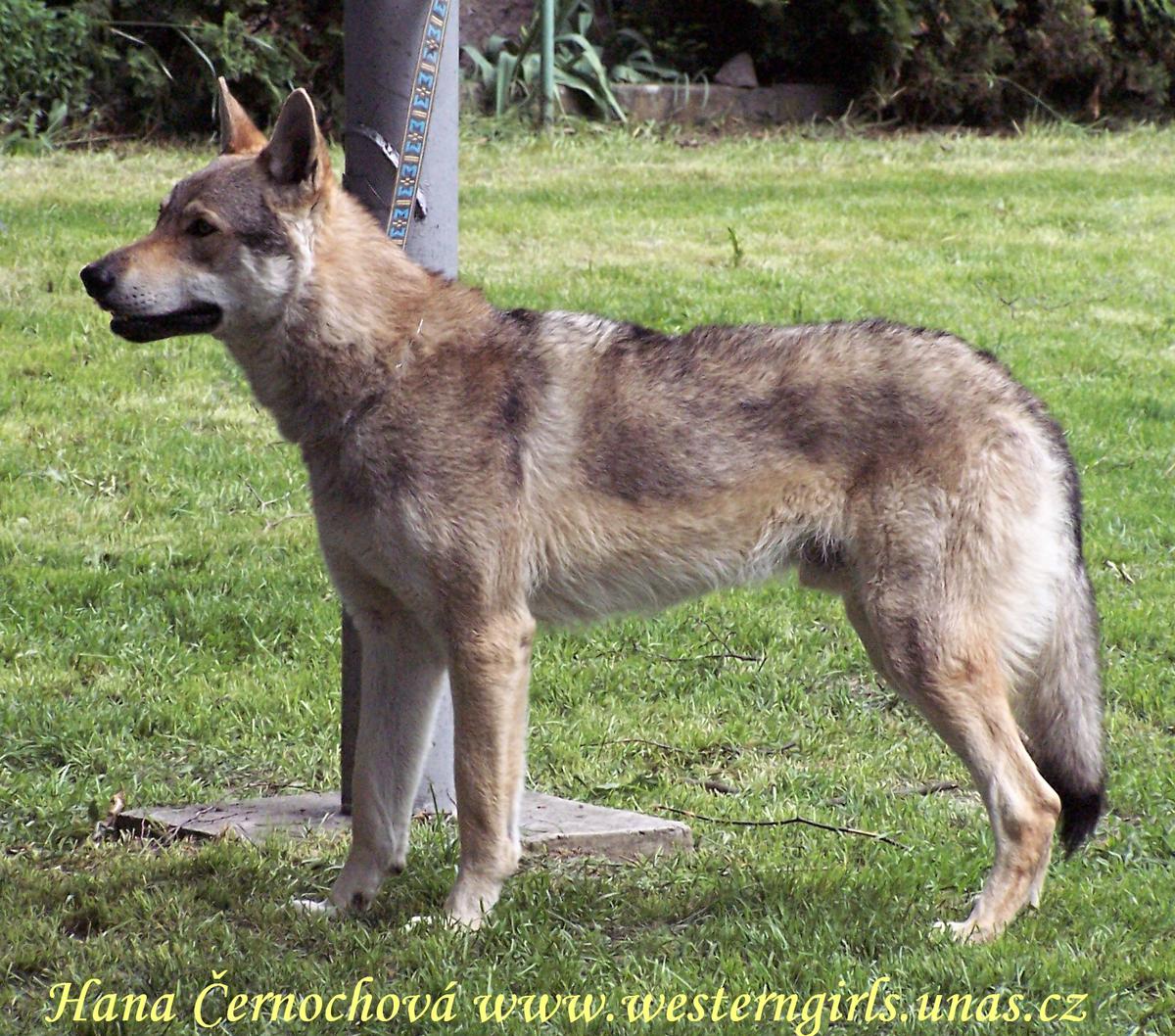 ZOP - 22.5.2010 Uděláno.jpg